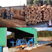 �����������������C���[�W