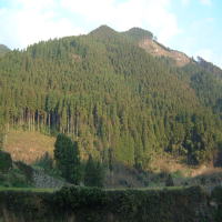 �����������������C���[�W